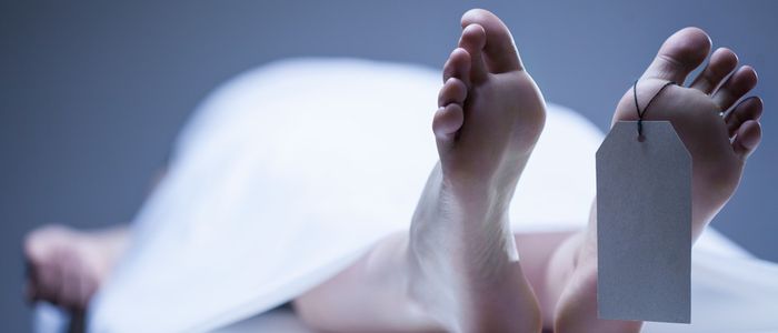 कतै खाना नपाएर, कतैै उपचार नपाएर मृत्यु कतै खाना नपाएर, कतैै उपचार नपाएर मृत्यु